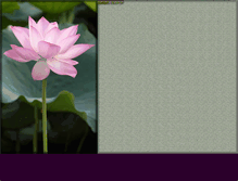 Tablet Screenshot of lotusmultimedia.com